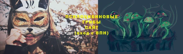 мдпв Горняк