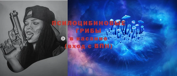 мдпв Горняк