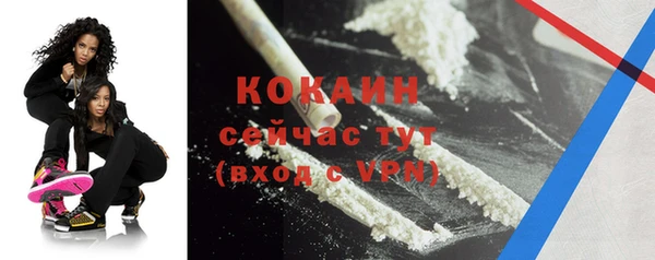 мдпв Горняк