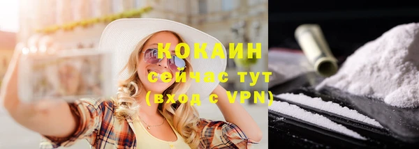 мдпв Горняк