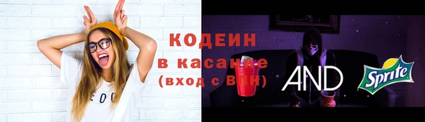 мдпв Горняк