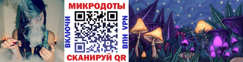 Галлюциногенные грибы прущие грибы  Яровое 
